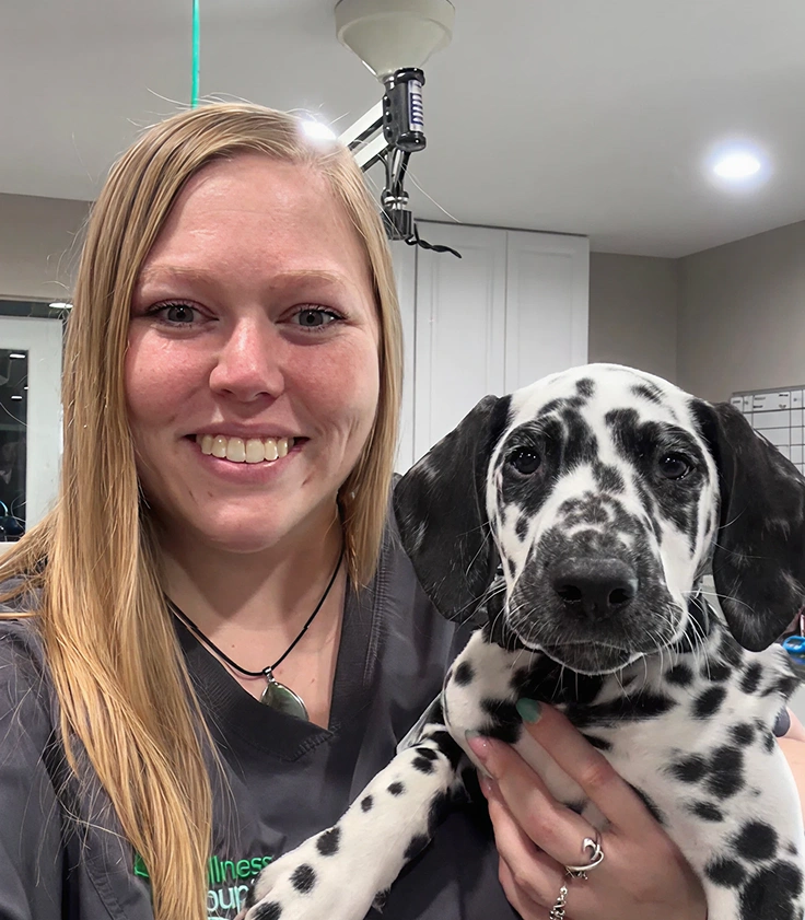 Skip the Hassle, Get Your Medicines Online