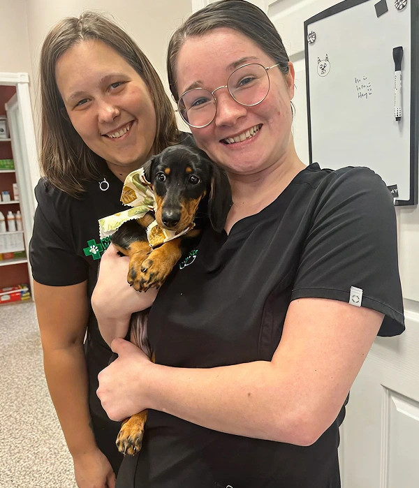 Welcome to Pet Wellness Group Hebron