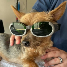 Laser Therapy