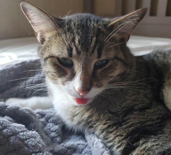 New Client Information