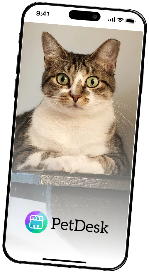 Download Our PetDesk App Today!